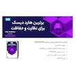 هارددیسک اینترنال وسترن دیجیتال مدل Purple WD100PURZ ظرفیت 10 ترابایت