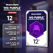 هارددیسک اینترنال وسترن دیجیتال مدل Purple WD121PURZ ظرفیت 12 ترابایت
