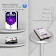 هارددیسک اینترنال وسترن دیجیتال مدل Purple WD60PURZ ظرفیت 6 ترابایت