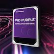هارد دیسک اینترنال وسترن دیجیتال مدل WD05PURZ ظرفیت 500 گیگابایت