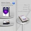 هارددیسک اینترنال وسترن دیجیتال مدل Purple WD10PURZ ظرفیت 1 ترابایت