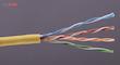 کابل شبکه Cat 5.e U/UTP اچ سی اس تست فلوک به طول 305 متر