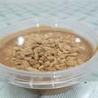 کره بادام زمینی رژیمی کرانچی اسپراس - 250 گرم  بسته 4 عددی