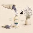 مایع دستشویی کرمی اُرگالند مدل Lavender Dream حجم 500 میلی لیتر