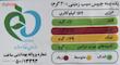 چیپس سرکه چاکلز - 63 گرم