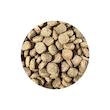 غذای خشک سگ شهرپت مدل EcoNature Plus Lamb وزن 1 کیلوگرم