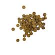 غذای خشک سگ بالغ سزار و کندی مدل Adult Medium & Large وزن 1 کیلوگرم 