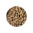 غذای خشک توله سگ شهرپت مدل EcoNature Plus Lamb Rice وزن 1 کیلوگرم