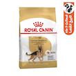 غذای خشک سگ رویال کنین مدل German shepherd Adult وزن 11 کیلوگرم