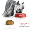 غذای خشک سگ رویال کنین مدل ایکس اسمال بالغ XS-Adult وزن 1/5 کیلوگرم