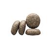غذای خشک سگ نابالغ جوسرا مدل مینی ول با طعم مرغ و برنج وزن 10 کیلوگرم