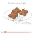غذای خشک رویال کنین مدل مینی ادالت وزن 2000 گرم