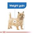 غذای خشک سگ رویال کنین مدل Mini Light Weight وزن 3 کیلوگرم