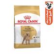 غذای خشک سگ رویال کنین مدل Poodle Adult وزن 3 کیلوگرم