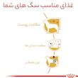 غذای خشک سگ رویال کنین مدل Poodle Adult وزن 3 کیلوگرم