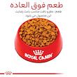 غذای خشک سگ رویال کنین مدل Poodle Adult وزن 3 کیلوگرم
