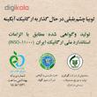 لوبیا چشم بلبلی آبگینه - 900 گرم