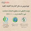 لوبیا عروس آبگینه - 900 گرم