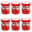کنسرو رب گوجه فرنگی آرنوش - 800 گرم مجموعه 6 عددی