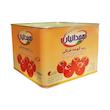 کنسرو رب گوجه فرنگی همدانیان - 9000 گرم