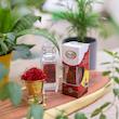 زعفران آذین درجه یک عاقله - 0.5 گرم