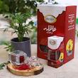 زعفران آذین درجه یک عاقله - 1 گرم