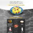 زعفران سحرخیز - 4.608 گرم 