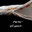 ست تشک مهمان اسلیپی مدل Thunder یکنفره سایز 185×85