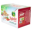 قند رژیمی حبه عناب دارچین شاینا - 500 گرم