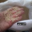 برنج لاشه دودی گیلان نسل نورانی - ۱۰ کیلوگرم
