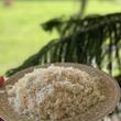 برنج هاشمی خالدار عطری - ۱۰ کیلوگرم