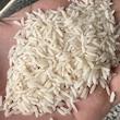 برنج طارم هاشمی کشت اول زرین خوشه طبرستان - 10 کیلوگرم