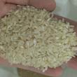 برنج عطری کامفیروز - 10 کیلوگرم
