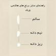 برنج نیم دانه هاشمی گیلان _ ۱۰ کیلوگرم