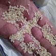 برنج نیم دانه دودی گیلان - ۱۰ کیلوگرم