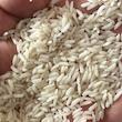 برنج هاشمی گیلان زرین خوشه طبرستان - 10 کیلوگرم