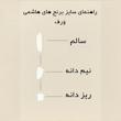 برنج ریزدانه هاشمی گیلان - 10 کیلوگرم