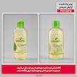 تونر پاک‌کننده آرایش هپسان مدل Anti Oxidant مناسب برای پوست چرب و مختلط حجم 250 میلی‌لیتر