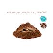 قهوه هسته خرما ممتاز بومی کار - 500 گرم