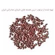 قهوه هسته خرما ممتاز بومی کار - 500 گرم