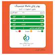 چای ماسالا جینسینگ تشریفاتی بدون شکر و شیرین شده با استویا پپتینا بسته 20 عددی
