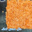 دال عدس دلاوران - 700 گرم