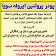 پودر پروتئین سویا ایزوله شمیم اشک گل - 500 گرم