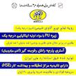 کفش ایمنی کفش ملی مدل تلاش