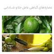 ماسک ورقه‌ای صورت بایو آکوا مدل آووکادو 25 گرم آبرسان و نرم‌کننده قوی پوست خشک، رفع زبری و چین‌وچروک، کاهش گودی و پف دور چشم، جوان‌کننده و تقویت‌شده با ویتامین‌های تقویتی مناسب آقایان
