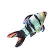 اسباب بازی گربه سویل پت مدل Peacock Catnip