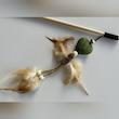 اسباب بازی گربه مدل چوب کت نیپ دار Cat_heart