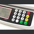 ترازو دایانگ مدل DY-580/30kg-1g