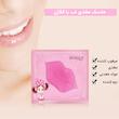 ماسک لب بایو آکوآ مدل Strawberry حجم 8 میلی لیتر بسته 5 عددی