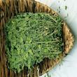 یونجه جوندگان تکتون مدل HIGH QUALIT وزن 1000گرم